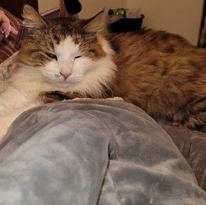 Meet your Posher, Scott